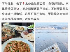 -巧克力渔家.小船海鲜胶东菜(万平口店)