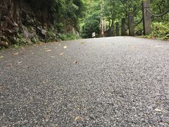 -湖州龙王山景区