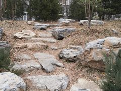 -南长河公园