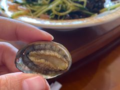 -船尚小镇(武清下朱庄店)