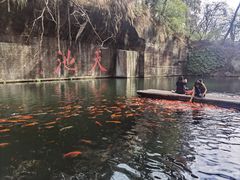 -千岛湖东南湖区