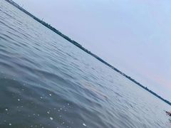 -丁香湖公园