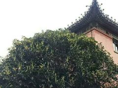 -南京钟山宾馆(江苏省会议中心)