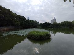 -人民公园(罗湖区)