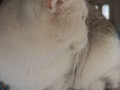 -联合动物医院(光谷诊疗中心)