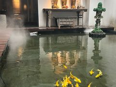 -觀芷隐轩