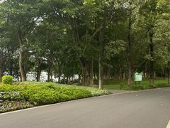-海珠湖公园