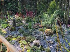 -中国科学院西双版纳热带植物园