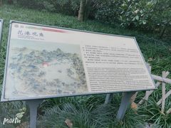 -西湖外事游船(花港观鱼码头)