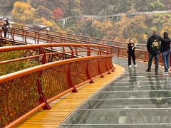 -少华山国家森林公园