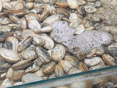 -港畔赶海蒸汽海鲜烧烤自助(仙螺岛店)