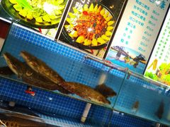 菜单-边江铁锅炖鱼(振八街店)