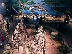 -自贡恐龙博物馆