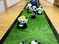 -中国大熊猫保护研究中心雅安碧峰峡基地