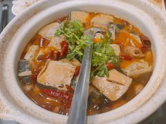 肥肠臭豆腐煲-调鼎居·手工淮扬菜