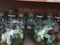 -懒鱼时光馆(沙坪坝店)