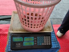 -绢姐海鲜大排档