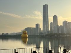 -深圳湾公园(南山区)
