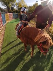 -萌宠亲子动物乐园(槐房万达店)