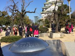 -大阪市立自然史博物馆