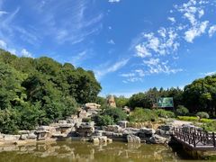 -北京西山国家森林公园