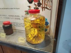 -九江双蒸博物馆