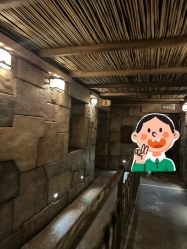 -翱翔飞越地平线