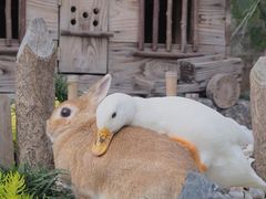 -7分甜(圆融广场店)