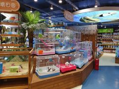 -龟与熊猫宠物公园(南坪店)