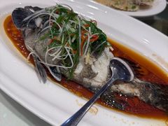 -老洋房花园饭店(绍兴路店)