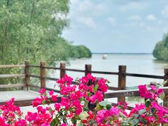 -东寨港红树林旅游区