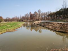 -宁波杭州湾国家湿地公园