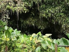 -海口火山口国家地质公园