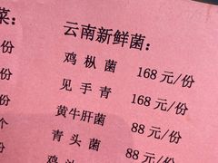 -菌子鲜汤野生菌锅