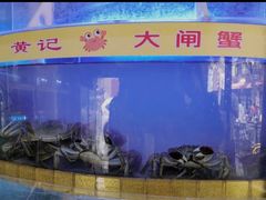 -黄记大闸蟹专卖店·活蟹·醉蟹
