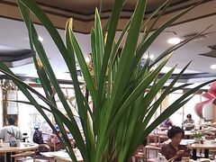 -佛有缘素食馆·荔湾老字号(陈家祠首店)