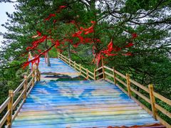 -光雾山旅游景区