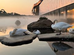 -罗红摄影艺术馆