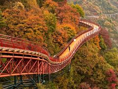-少华山国家森林公园