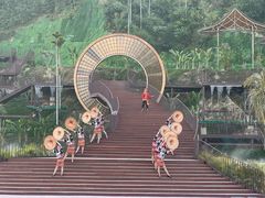 -海南热带雨林国家公园吊罗山景区