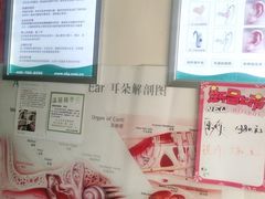 -自然之声助听器(平凉店)