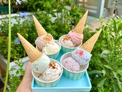 -苏小糖(鼓浪屿三丘田花园店)