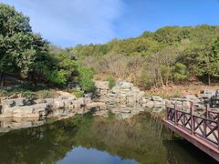 -北京西山国家森林公园