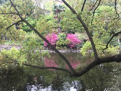 -叶家花园