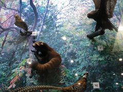 -国家自然博物馆