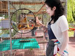 -水上乐园·欢乐世界