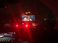 -枫花园汽车电影院(朝阳公园店)