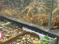 -徐记海鲜(大明宫|北二环店)