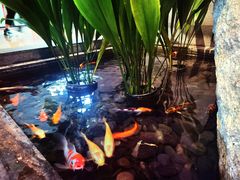 -上海外滩英迪格酒店