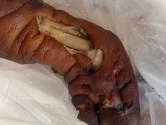 猪蹄-济南孟家扒蹄店